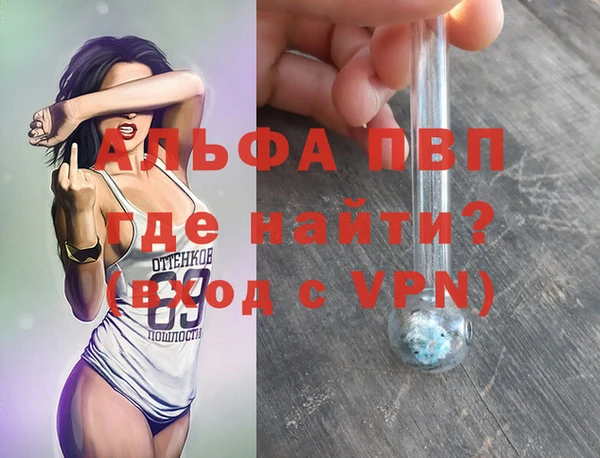 сатива Семилуки