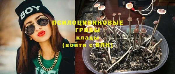 сатива Семилуки