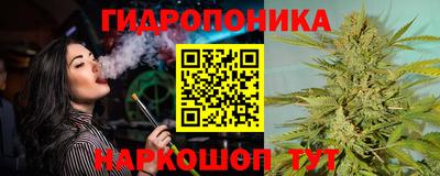 трава Сланцы